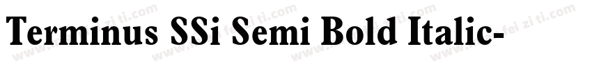 Terminus SSi Semi Bold Italic字体转换